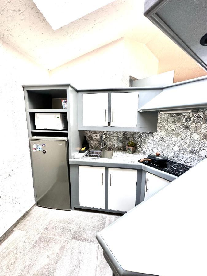 Departamento Tipo Loft Cerca De Hospital Angeles Appartement
